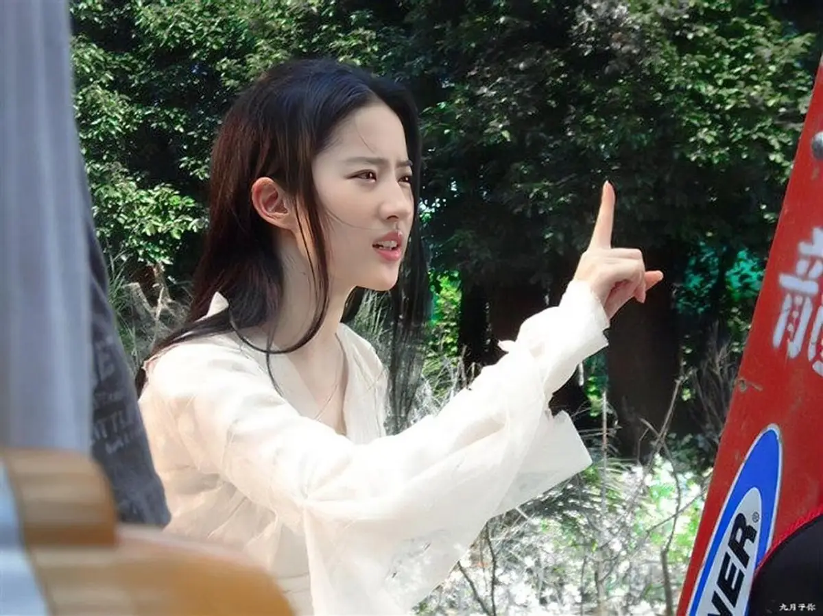 内娱第一美人 林青霞 王祖贤 李嘉欣 关之琳 张曼玉 周慧敏 陈红 刘亦菲_与林青霞齐名的女明星