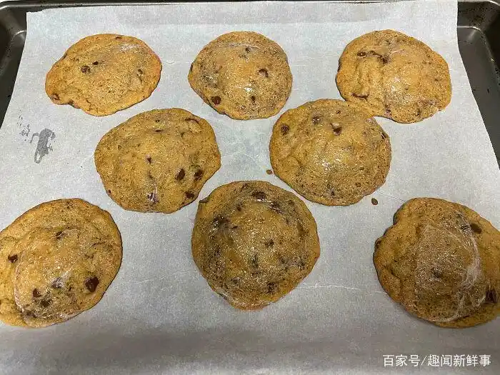 明星黑暗料理图片大全高清,_烤箱食物失败案例_煮鸡蛋爆炸